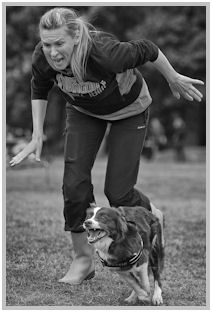 border collie speedy dream